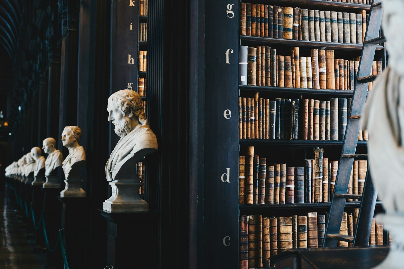 Biblioteca jurídica do escritório, com estantes de obras clássicas